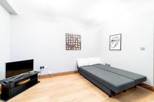 (St Paul Cathedral) London Studio Apartment