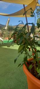 Agriturismo Gentile
