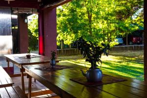 Cabañas Parque Vistalba