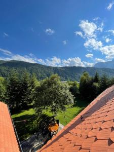 Elderberry Mountain Retreat - Azuga