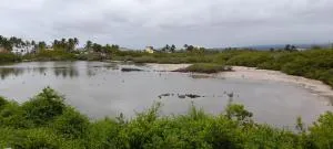 My House - Tomás de Berlanga