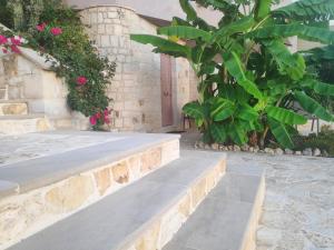 Xenias countryside guesthouse