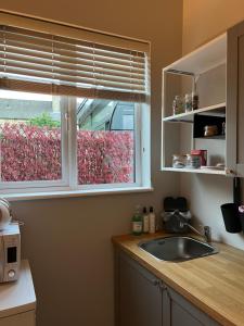 Hugo Mews Bright Studio Apartment