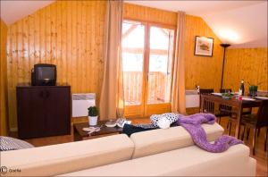 Appart'hotels Residence Goelia Les Chalets des Ecourts : photos des chambres