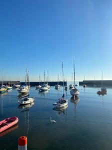 Hugo Mews Bright Studio Apartment