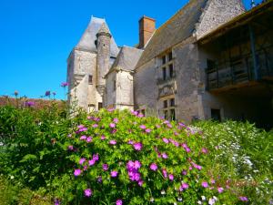 B&B / Chambres d'hotes Chateau de Chemery : photos des chambres