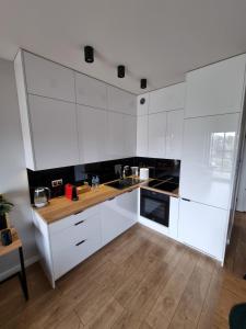 Apartament Ventus Business and Living 46