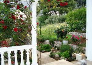 Double Room Zivogosce - Porat 2733a