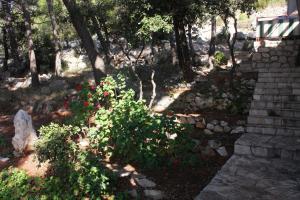 Apartments by the sea Jagodna Hvar 3249
