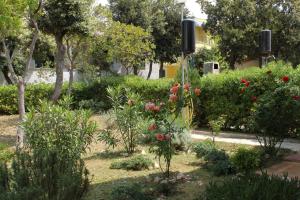 Apartment Petrcane 3300b