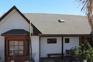 Loma de las Maravillas - Pangue