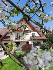 Czarna Jagoda - Rzepiska