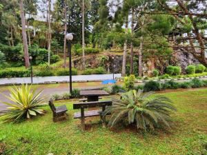 Lovely apartment in Genting Highlands.