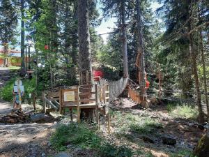 Appartements La Petite Foret Chamrousse 1700 : photos des chambres