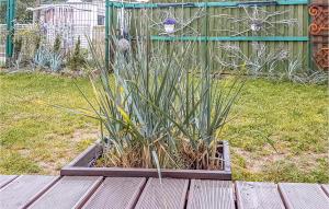 Beautiful Home In Nowe Warpno With Wifi