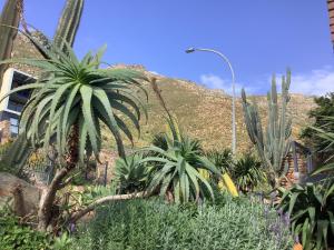 Studio with unforgettable View