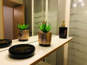 APPART IN PY - Charmant Studio RDC plein centre