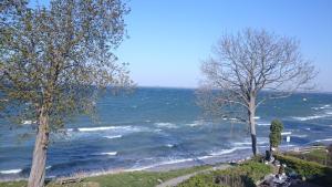 Strandappartement Steinberghaff "Farborg" mit Meerblick