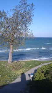 Strandappartement Steinberghaff "zur Birk" mit Meerblick
