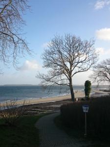 Strandappartement Steinberghaff "zur Birk" mit Meerblick