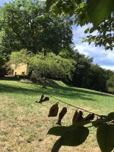 Maisons de vacances Logis des 4 fees et son bain nordique : photos des chambres