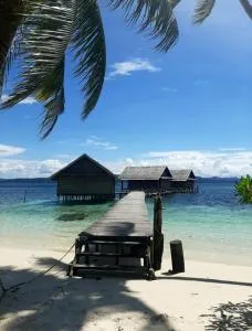 Frances Homestay - Raja Ampat - Sageurin