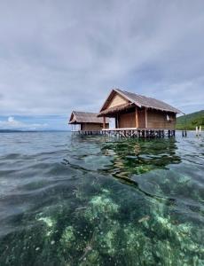 Frances Homestay - Raja Ampat