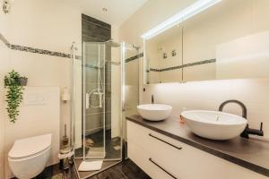 Penthouse Harz-Traum 372