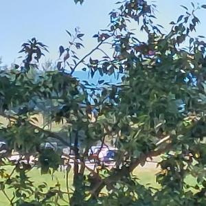 2 room apartment 350 m from sea