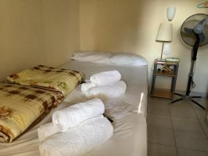 Εθιά Παραδοσιακή πετρόχτιστη οικία Ethia Traditional house of stone