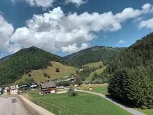 Appartements Appartement La Duchere Le Plan-la Giettaz massif des Aravis : photos des chambres