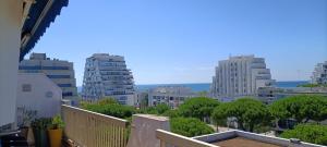 Appartements Le Semaphore - studio climatise, grande terrasse vue mer - parking, wifi : photos des chambres