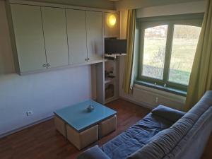 APPARTEMENT WESTENDE (DRIEMASTER)