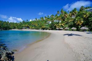 Perfect Paradise, Oceanview in Samana