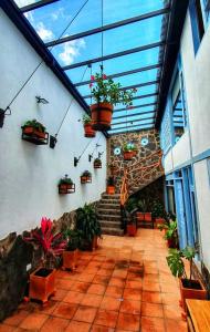 Apartahotel los Tucanes