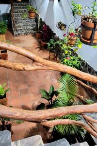 Apartahotel los Tucanes