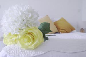 Casa Eugénie lappartement de tante Madeleine vue sur les montagnes