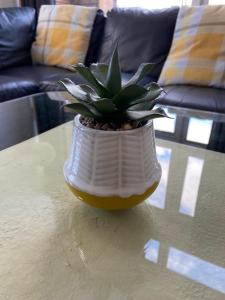 The OVO Hydro Penthouse With Free Parking