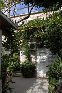 Apartments with WiFi Trsteno, Dubrovnik - 4746