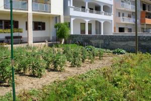 Apartments with a parking space Omis - 2751