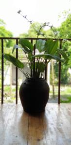 Phòng Có Giường Cỡ King Nhìn Ra Vườn (King Room with Garden View)