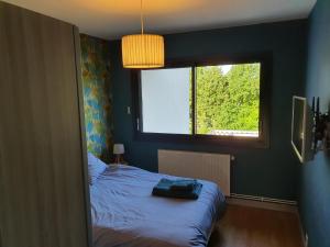 Appartements Studio meuble Saint-Cyr-au-mont-d'or : photos des chambres