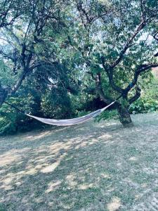 Freiblick 3 Bad Glbg mit Terrasse Top 3