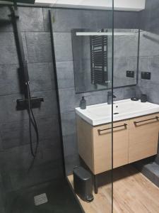 Appartements Superbe appartement avec jacuzzi et exterieur : photos des chambres