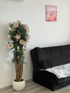 SEA VIEW APARTMENT