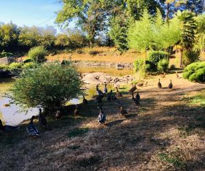 Appartements Le refuge des canards : photos des chambres