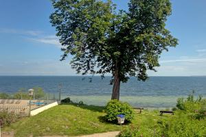Strandappartements Steinberghaff "Kegnæs" mit Meerblick und Sauna
