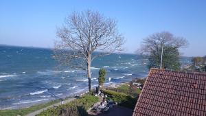 Strandappartements Steinberghaff "Kegnæs" mit Meerblick und Sauna