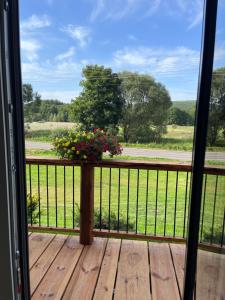 Chata Borówkowe Wzgórze