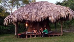 Mayan World Adventures Jungle Experience